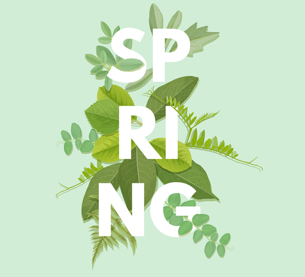 6.4. SPRING AWAKENING