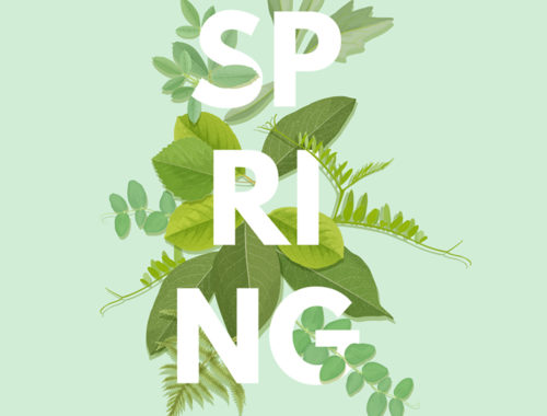 6.4. SPRING AWAKENING