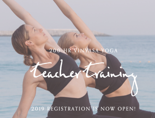 22.7-15.8.  VINYASA YOGA TEACHER TRAINING