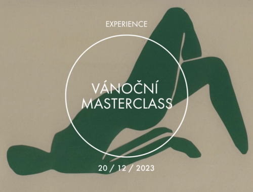 20.12. VÁNOČNÍ MASTERCLASS